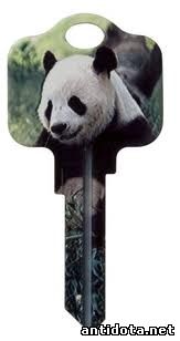 panda ключ